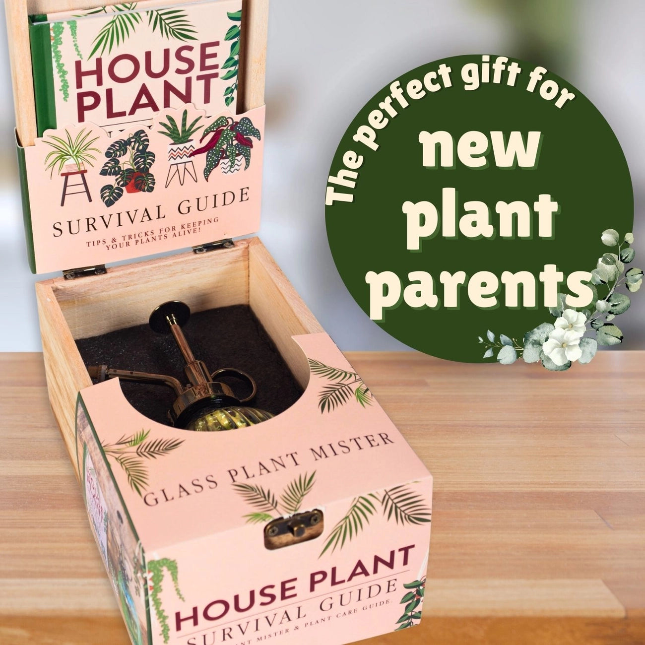 Darilni paket: Houseplant Survival Guide 🌱