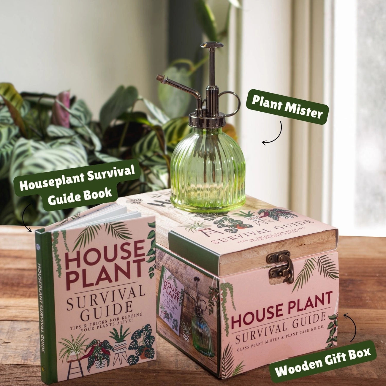 Darilni paket: Houseplant Survival Guide 🌱