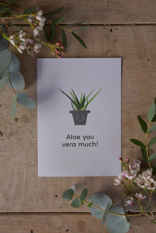 ALOE SIE GLAUBEN VIEL