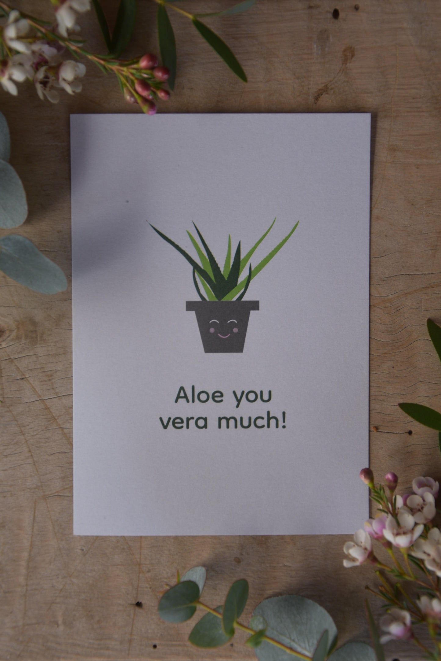 ALOE SIE GLAUBEN VIEL